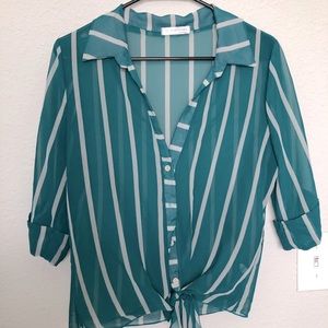Teal Blouse